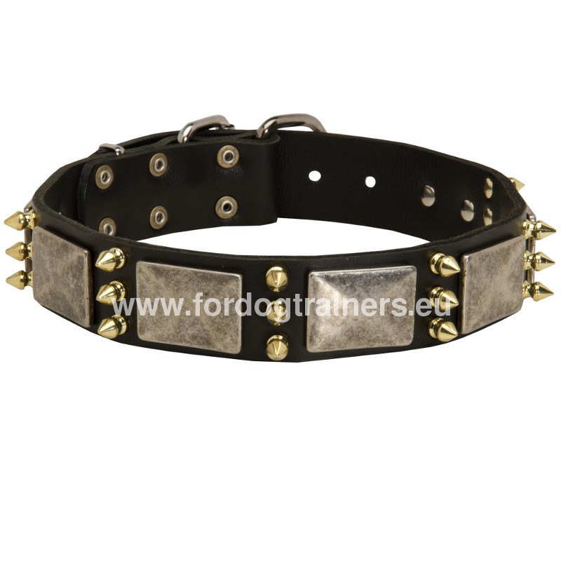 German Shepherd Fancy Decorated Collar [C871057 Collare esclusivo in