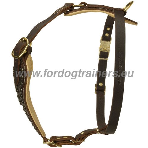 West Siberian Walking Harness