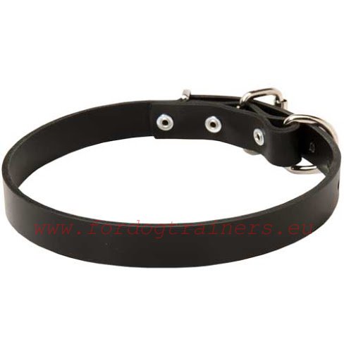 Lederen honden halsband met sterke gesp