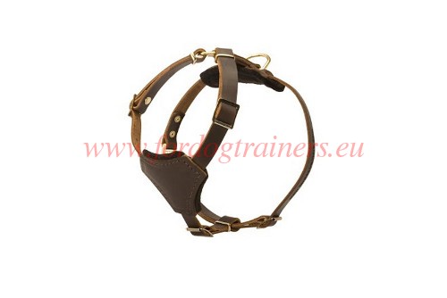 Excellent brown dog harness for small dogs