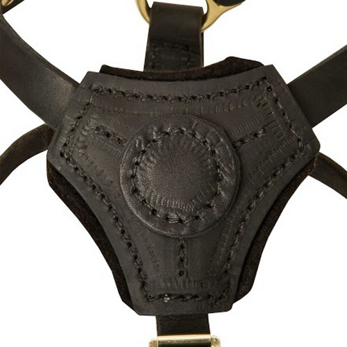 Royal decoration of the harness for small dogs and puppies