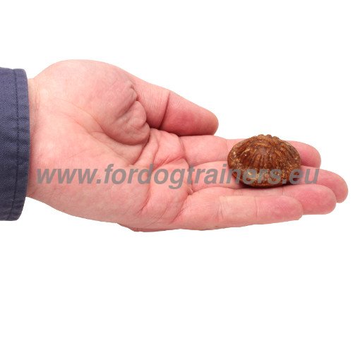 Natural Flavour Dog Treat