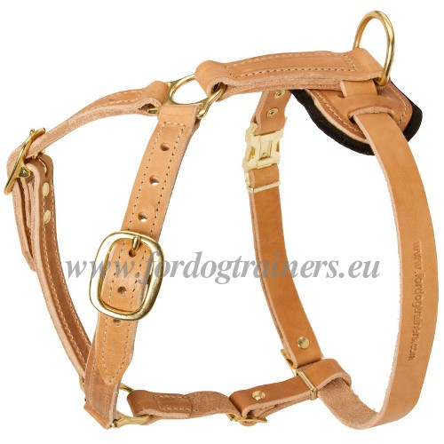 Harnais de qualit en mailleur cuir pour Amstaff