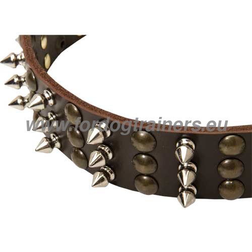 Rust proof spikes and half balls of the leather collar
for Pitbull