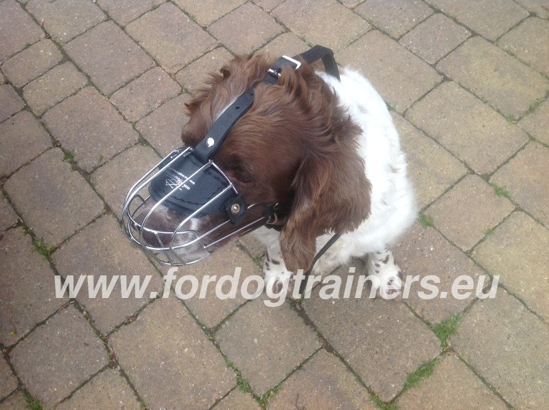 Muzzle for online springer spaniel