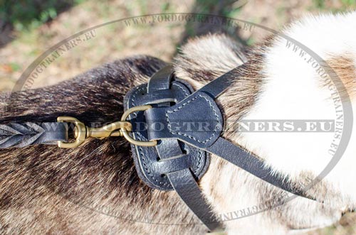 Hand gemaakt en hand gestikte bandjes van de hondentuig
voor Laika tracking