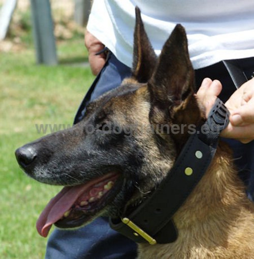 Agitation Dog Collar GSD with Better Control