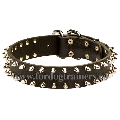 Zwarte spiked halsband super leer voor WSL