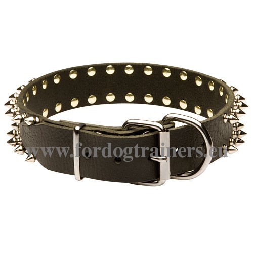 Vernikkelde stale fittings van de super sterke halsband
voor Laika met spikes