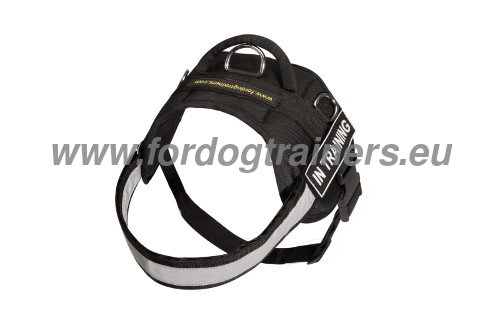Multifunctional Nylon Harness with Reflective Strap for
Husky