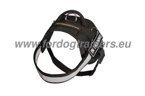 Multifunctional Nylon Harness for Boxer