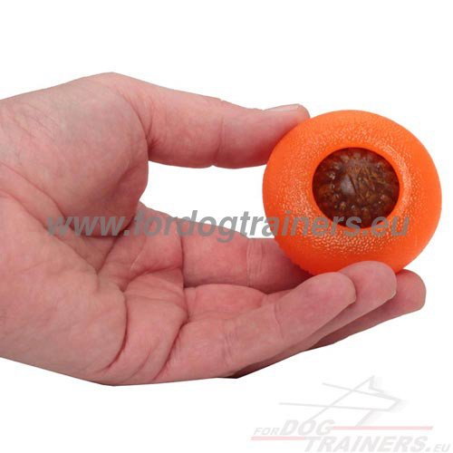 Orange Dog Toy with Treat