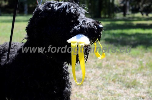 Leather Dog Harness with
Studs for Small Dogs ✧ Black Terrier with Rug