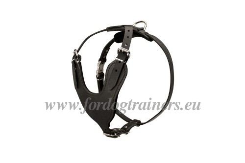 Husky Training Harness