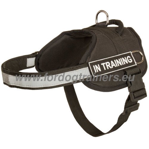 Nylon Boxer Harness with Patches