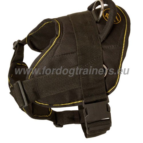 Multifunctional Harness for Pitbull