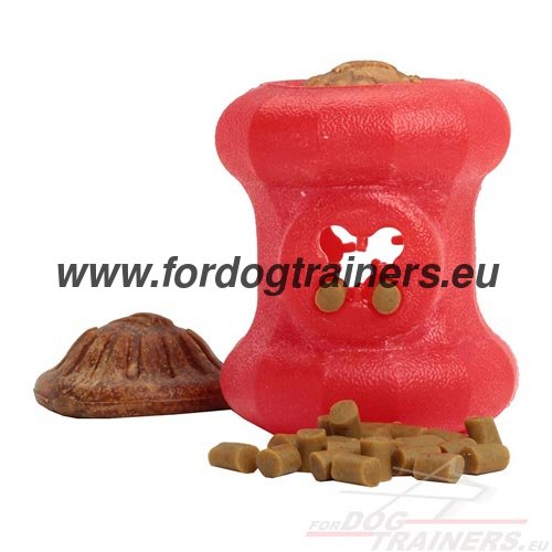Dog Toy with Treat and Kibble