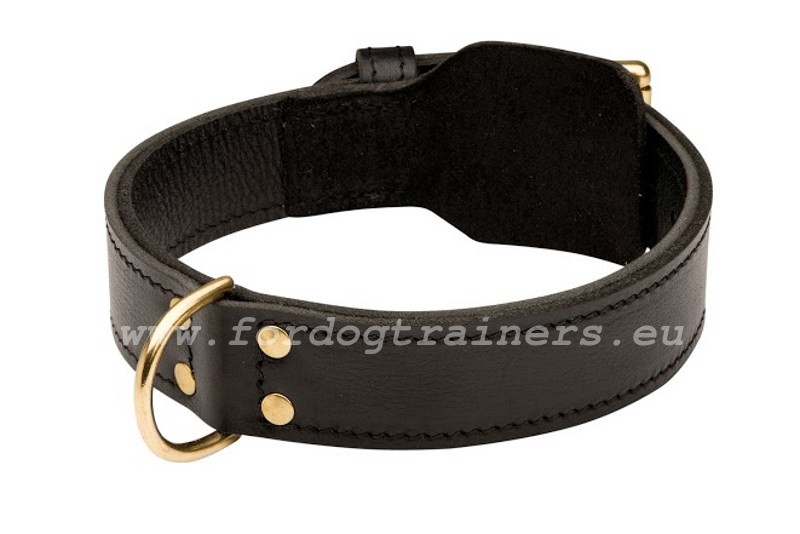 Agitation Dog Collar Extra Comfort for German Shepherd [C33NH1057