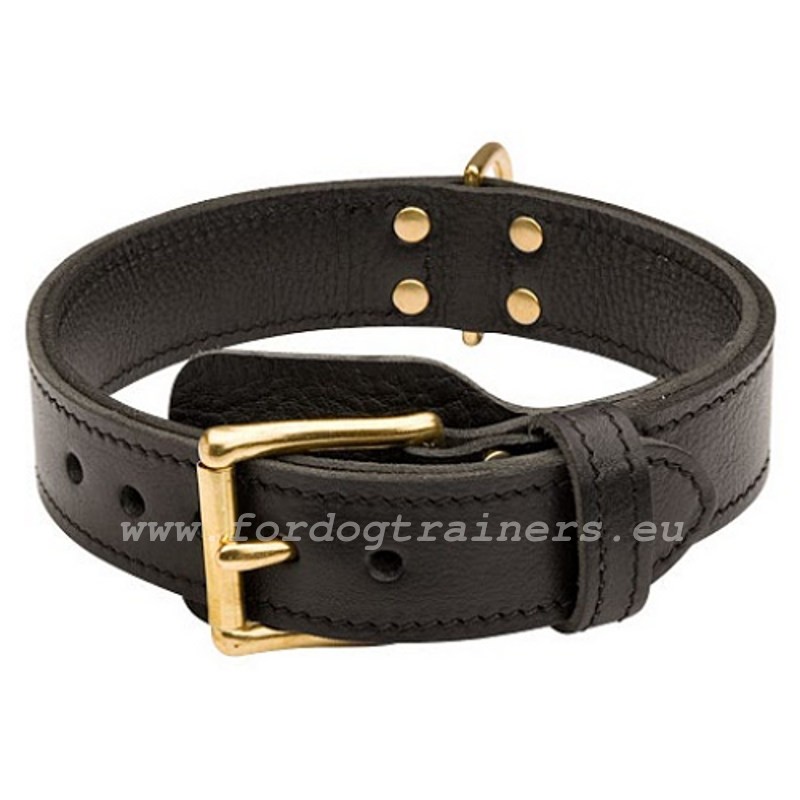 Agitation Dog Collar Extra Comfort for German Shepherd [C33NH1057