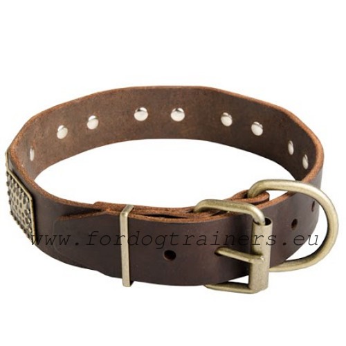 Solid D-ring and buckles of the beautiful exclusive dog
collar