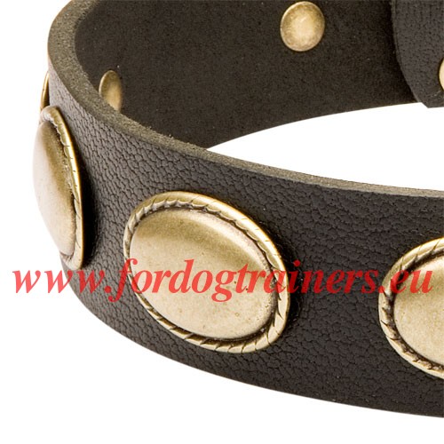 Antique Brass Ovals of the Stylish Collar for Laika