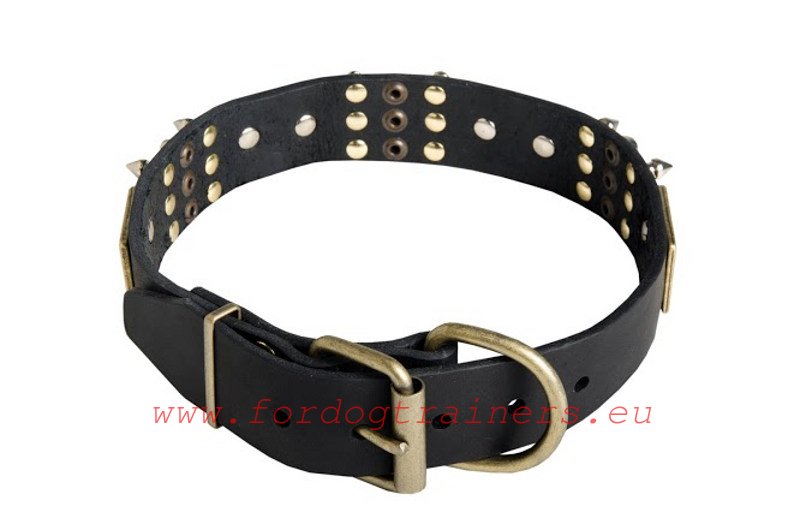 leather dog training collars