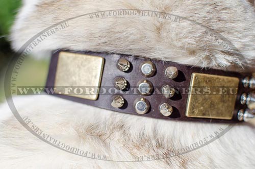 Old Brass Style Dog Collar