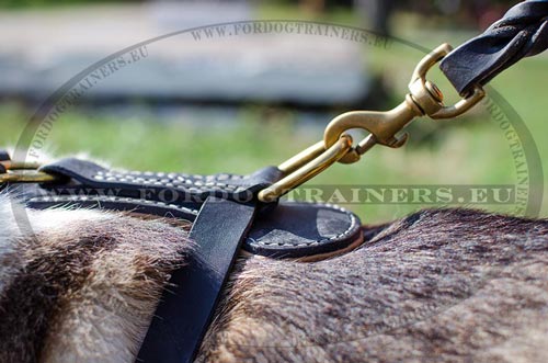 Laika Padded Leather
Harness