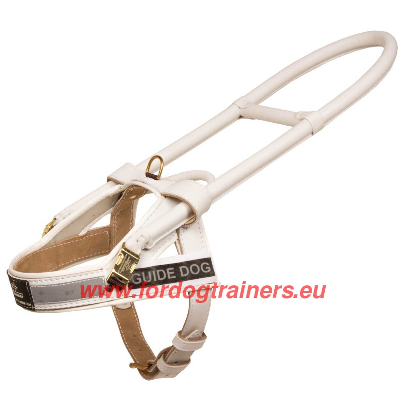 White Leather Harness Reliable for Assistance Dog H18W 1057 Pettorina di cuoio bianco per cane guida per non vedenti Dog harness Dog muzzle Dog collar dog leash Bite Sleeves