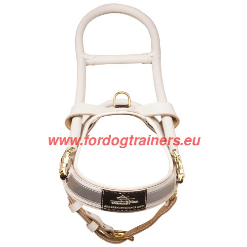 Harnais blanc en cuir pour chien
d'assistance