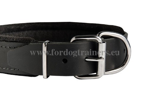 Laika Leather Wide Collar