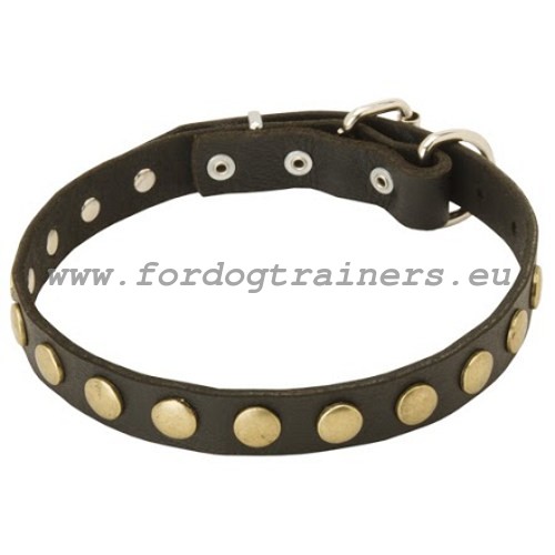 Universal leather dog collar narrow with metal decorations