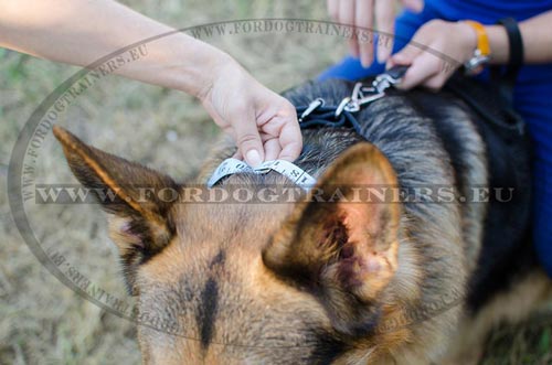 Circunferencia del Cuello