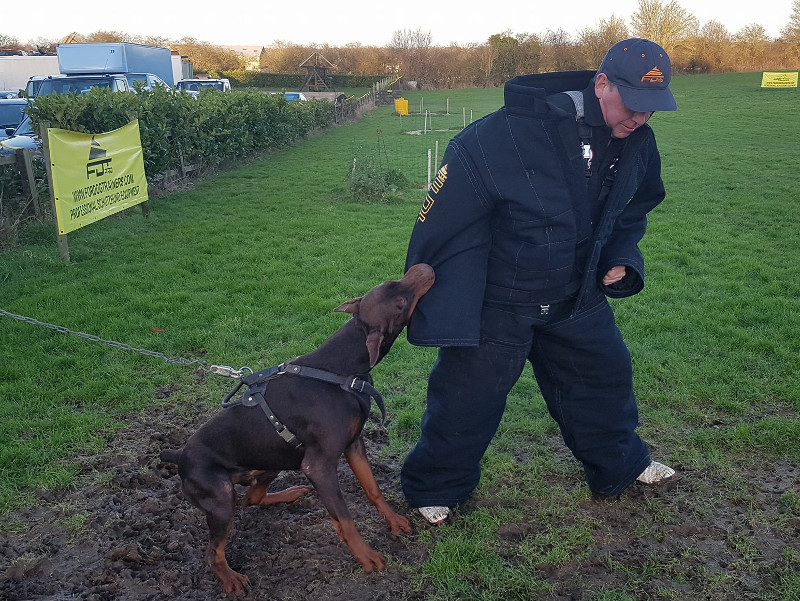 dog bite work equipment