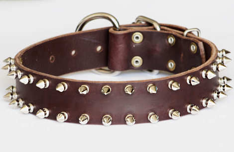 leather spiked dog collar 