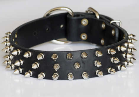 Leather Spiked dog collar for APBT 