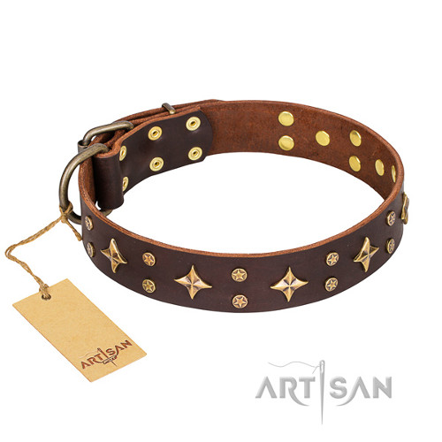 Handmade Leather Dog Collar “High Fashion” FDT Artisan - Click Image to Close