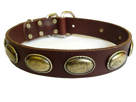 Vintage Leather Dog Collar for Rottweiler - Click Image to Close