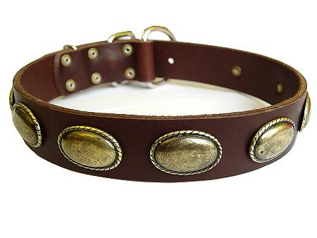 Retro leather dog collar