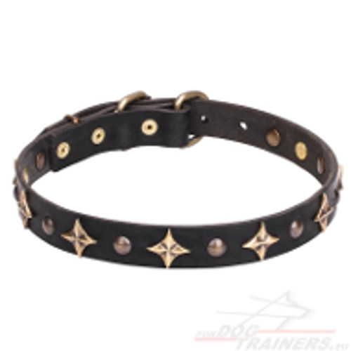 Trendy Leather Collar for Dog with "Outer Space" Deco - Click Image to Close