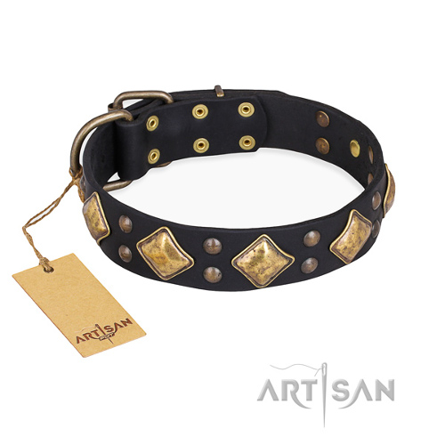Black Dog Collar with Adornments "Fancy-Schmancy" FDT Artisan - Click Image to Close