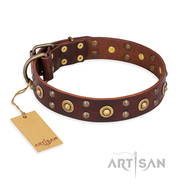 Stylish Dog Collar with Studs "Caprice of Fashion" FDT Artisan - Click Image to Close