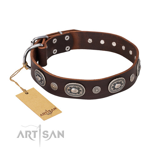 Brown Collar with Original Studs "Extra Pizzazz" FDT Artisan - Click Image to Close