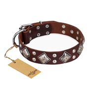 Brown Dog Collar with Chromed Studs