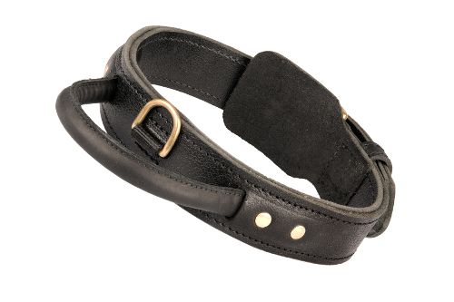 Bullmastiff Collar de Cuero con Mango 