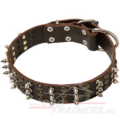 Dog Collar Leather with Decorative Spikes and Studs - Click Image to Close