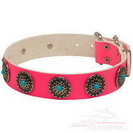 Pink Dog Collar with Turquoise Pink Leather Dog
Collar