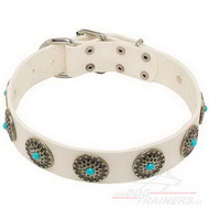 White Leather
Dog Collar with Turquoise