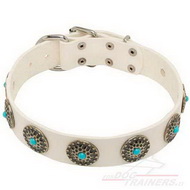Dog Leather Collar White with
Turquoise White Leather
Collar with Turquoise