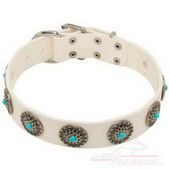 White Leather
Dog Collar with Turquoise